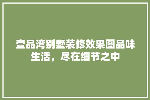 壹品湾别墅装修效果图品味生活，尽在细节之中