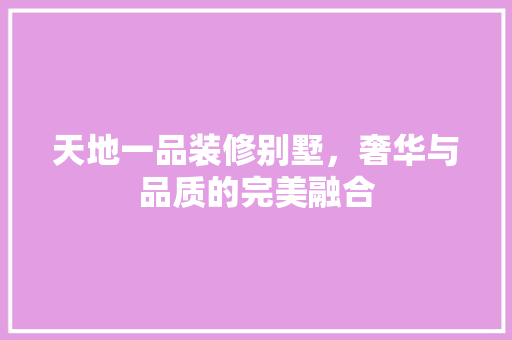 天地一品装修别墅，奢华与品质的完美融合