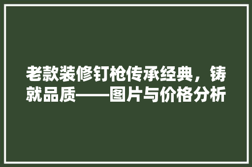 老款装修钉枪传承经典，铸就品质——图片与价格分析