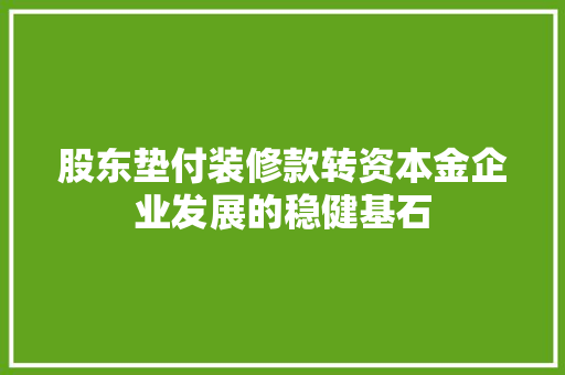 股东垫付装修款转资本金企业发展的稳健基石
