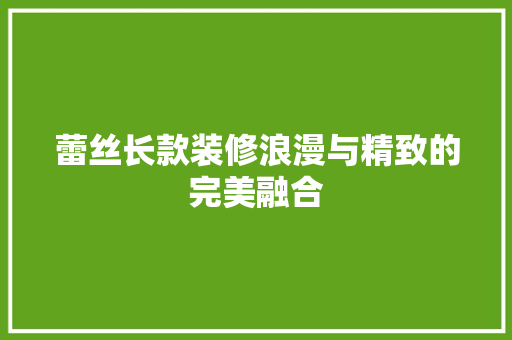 蕾丝长款装修浪漫与精致的完美融合