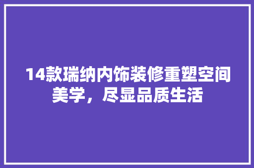 14款瑞纳内饰装修重塑空间美学，尽显品质生活