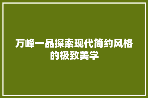 万峰一品探索现代简约风格的极致美学
