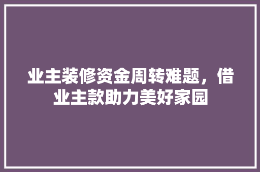 业主装修资金周转难题，借业主款助力美好家园