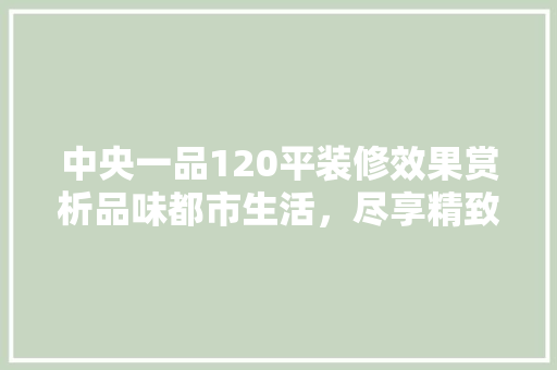 中央一品120平装修效果赏析品味都市生活，尽享精致空间