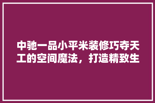 中驰一品小平米装修巧夺天工的空间魔法，打造精致生活新境界